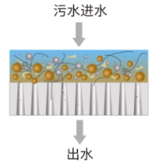 Z6尊龙·中国官方网站