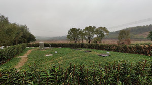 Z6�������й��ٷ���վ