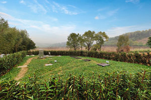 Z6�������й��ٷ���վ