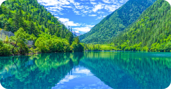 Z6尊龙·中国官方网站