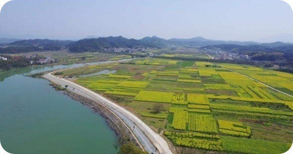 Z6尊龙·中国官方网站