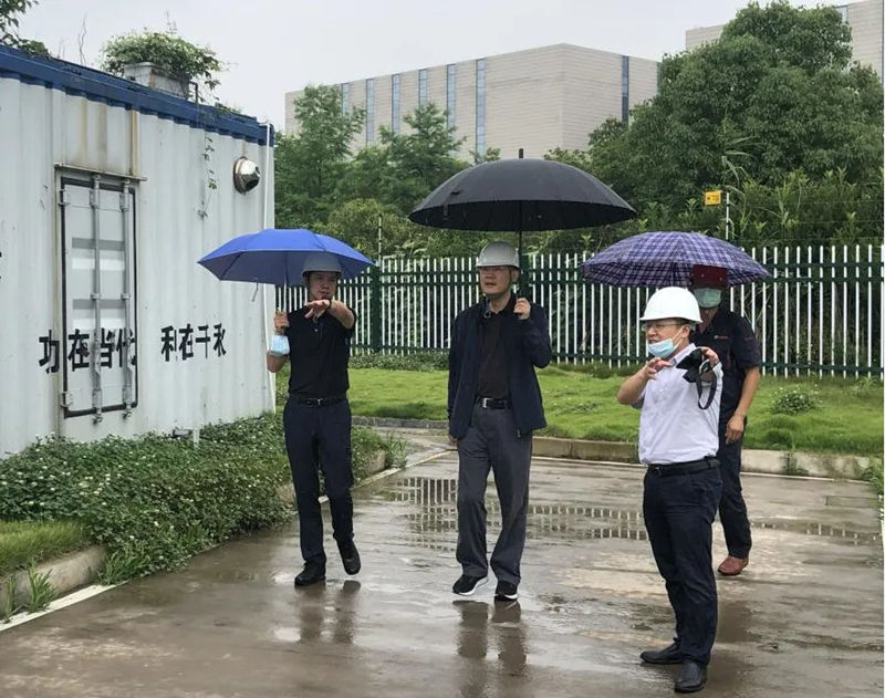 20200615-21.jpg 20200615-21.jpg