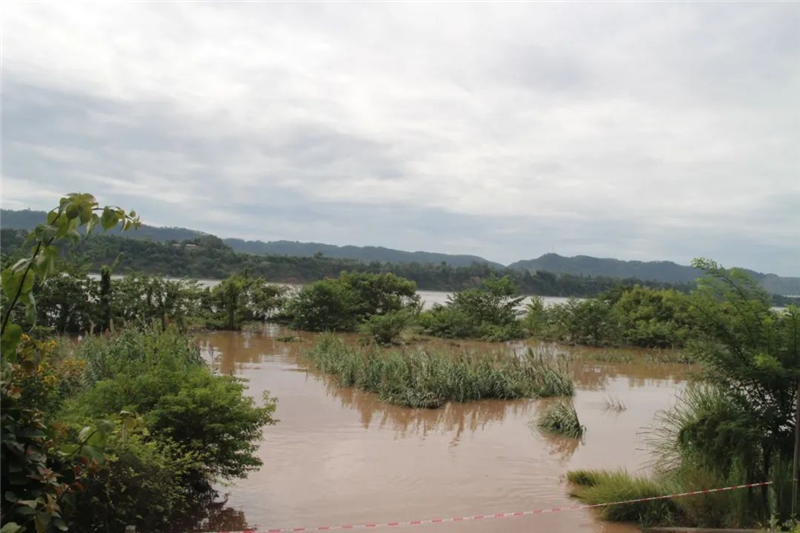 四通1.png 四通1.png